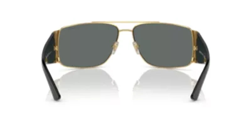 VE2163  Polarized Sunglasses