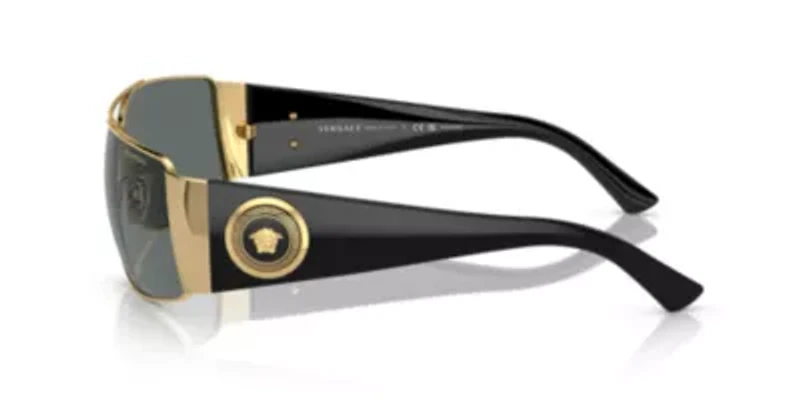 VE2163  Polarized Sunglasses