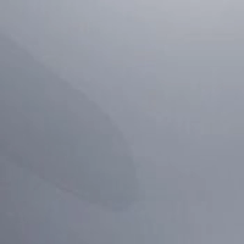 VE2174  Polarized Sunglasses