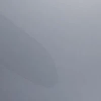 VE2174  Polarized Sunglasses