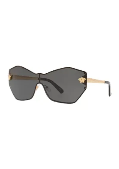 VE2182 Sunglasses