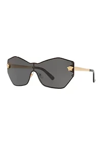 VE2182 Sunglasses