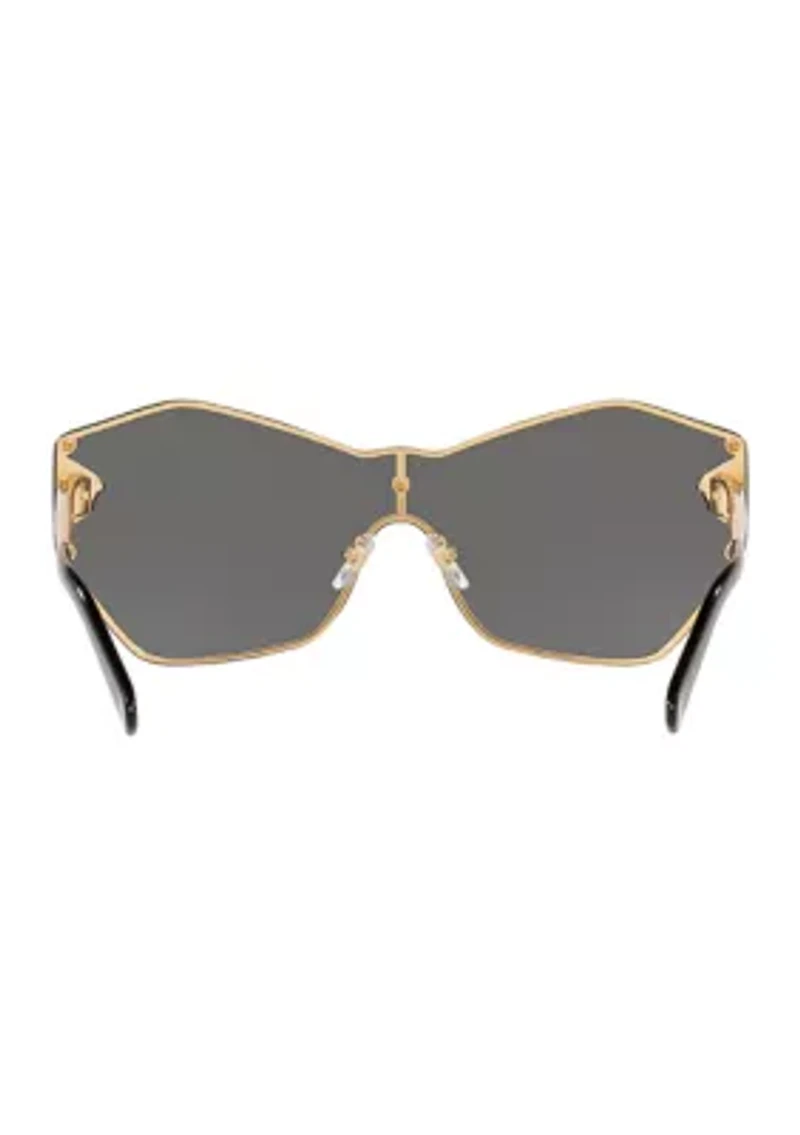 VE2182 Sunglasses