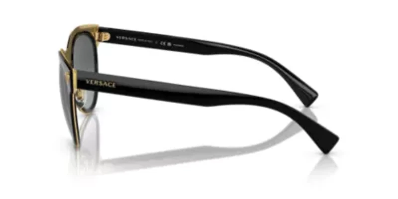 VE2198  Polarized Sunglasses