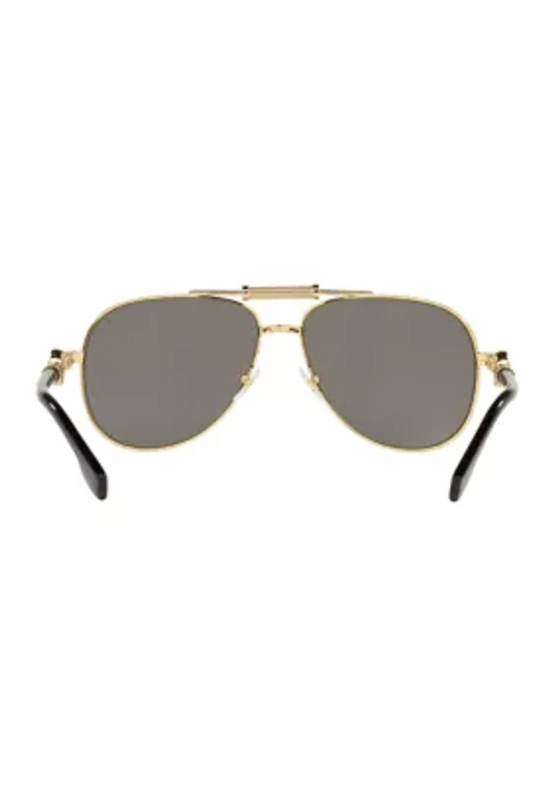 VE2236  Polarized Sunglasses