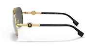 VE2236  Polarized Sunglasses