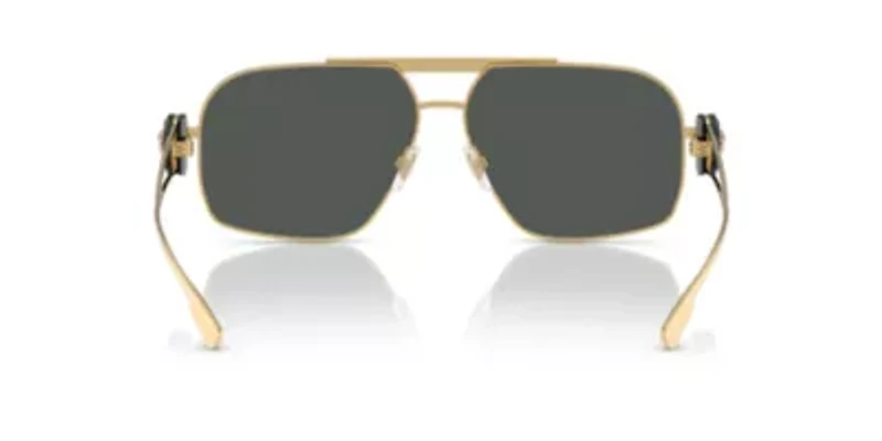 VE2269 Sunglasses
