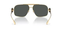 VE2269 Sunglasses