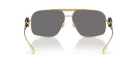 VE2269  Polarized Sunglasses