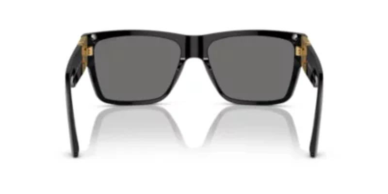 VE4296  Polarized Sunglasses