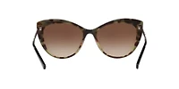 VO4254S  Sunglasses