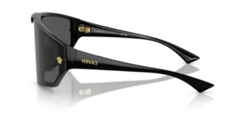 VE4461 Sunglasses