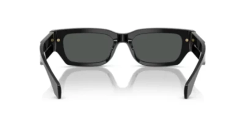 VE4465 Sunglasses