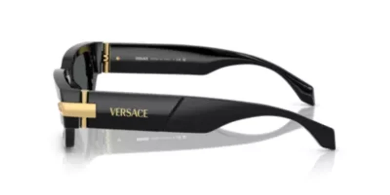 VE4465 Sunglasses