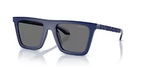 VE4468U  Polarized Sunglasses