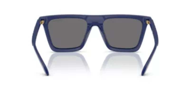 VE4468U  Polarized Sunglasses