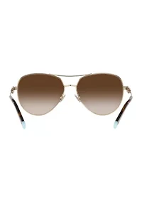 TF3083B Sunglasses