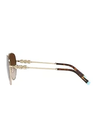 TF3083B Sunglasses