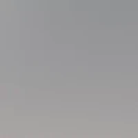 TF3082 Sunglasses