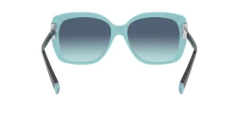 TF4171 Sunglasses