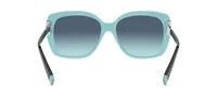 TF4171 Sunglasses