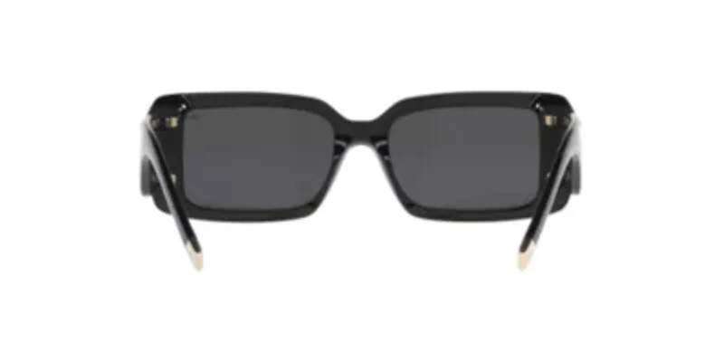 TF4197 Sunglasses