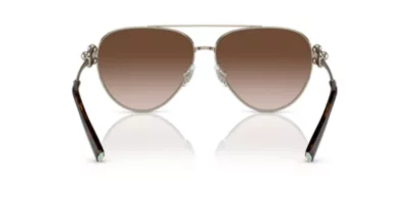 TF3092 Sunglasses