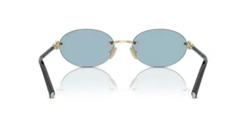 TF3104D  Sunglasses