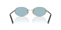 TF3104D  Sunglasses