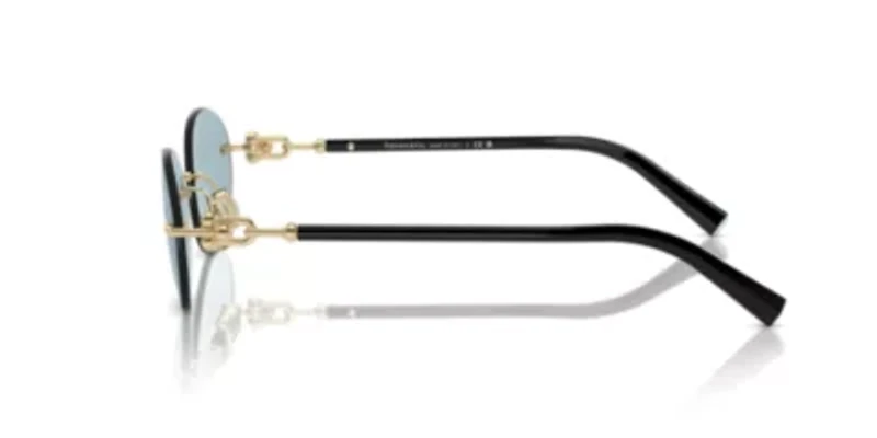 TF3104D  Sunglasses