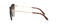 TF3070  Sunglasses