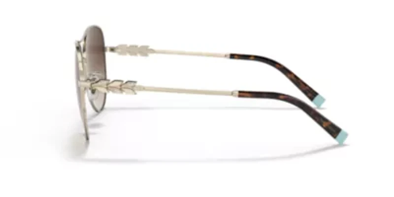 TF3083B Sunglasses