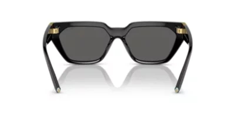 TF4205U Sunglasses