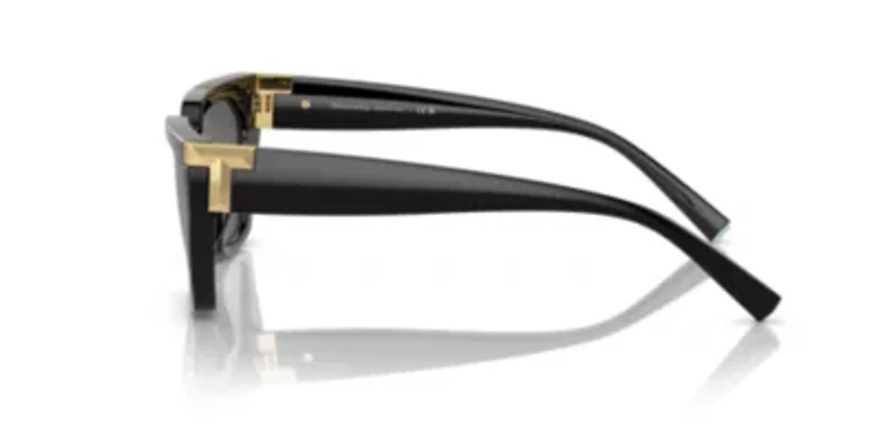 TF4205U Sunglasses