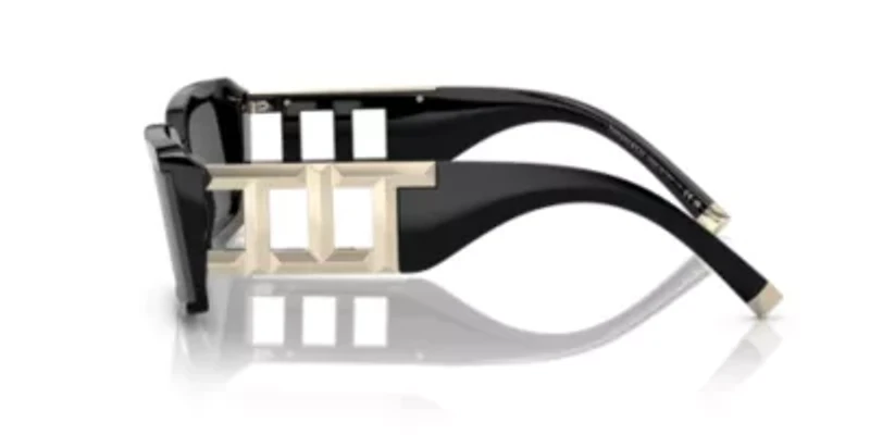 TF4197 Sunglasses
