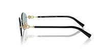 TF3104D  Sunglasses