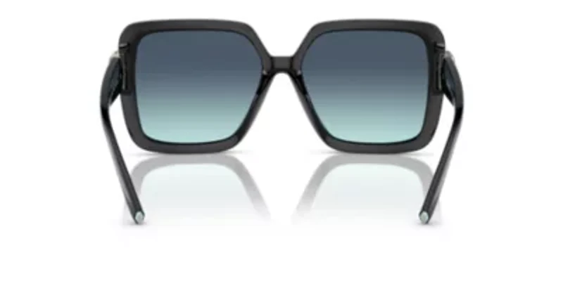 TF4206U Sunglasses