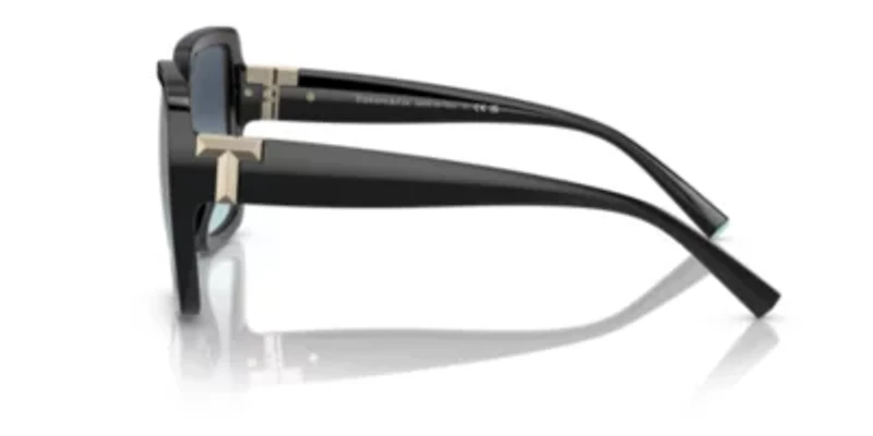 TF4206U Sunglasses