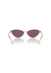 TF3095 Sunglasses