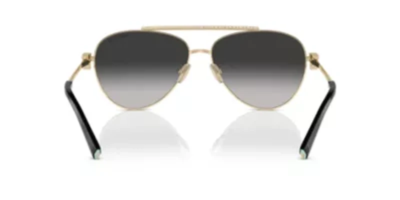 TF3101B Sunglasses