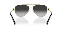 TF3101B Sunglasses