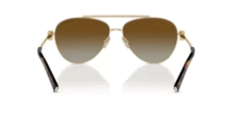 TF3101B Polarized Sunglasses