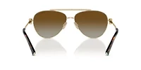 TF3101B Polarized Sunglasses