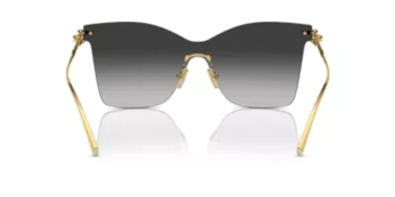 TF3103K Sunglasses