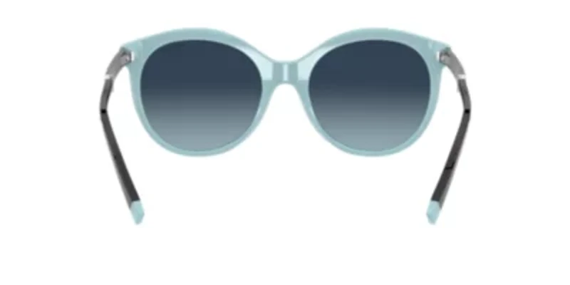 TF4175B Polarized Sunglasses