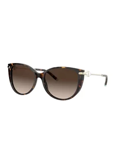 TF4178 Sunglasses