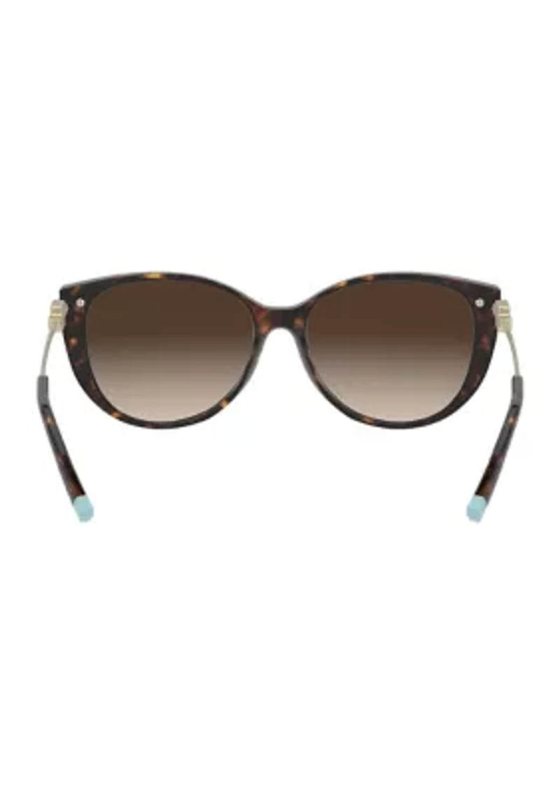 TF4178 Sunglasses