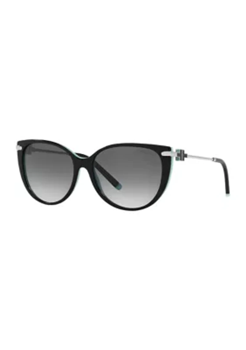 TF4178  Polarized Sunglasses