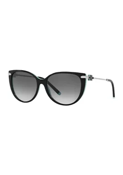 TF4178  Polarized Sunglasses