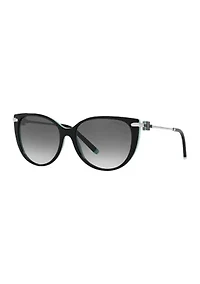 TF4178  Polarized Sunglasses